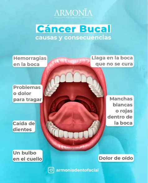 Contenido educativo 33